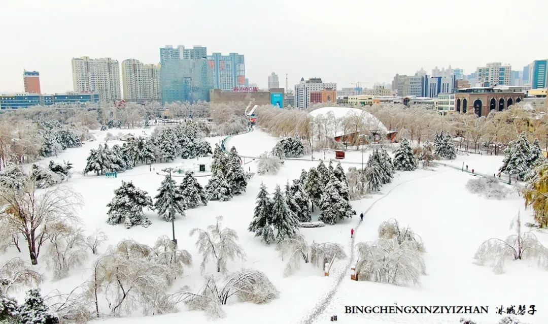 冰城暴雪冻雨之时，却让哈尔滨成为冬的水墨画卷