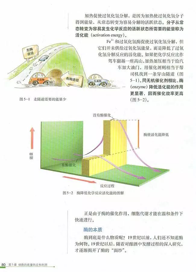 人教版高中生物（必修1）电子课本（高清版）