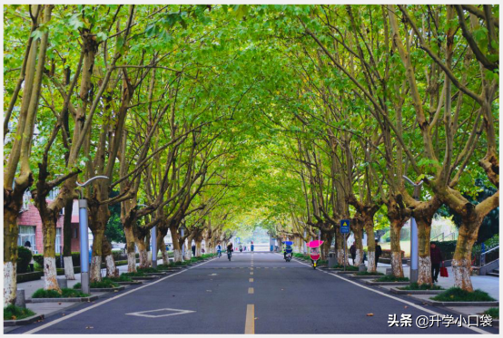 高考448分，被四川省的211大学录取，重庆这名考生真幸福