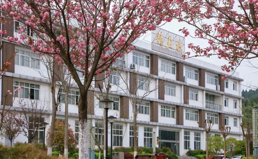 绵阳的老牌专科大学，拥有全国诸多荣誉，今年还要进行高职单招