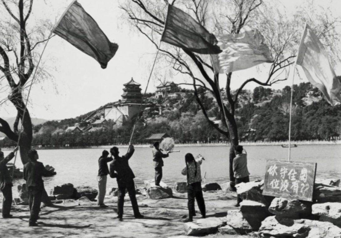 1958年的全民“剿雀”战：男女老少齐上阵，让麻雀几乎断子绝孙