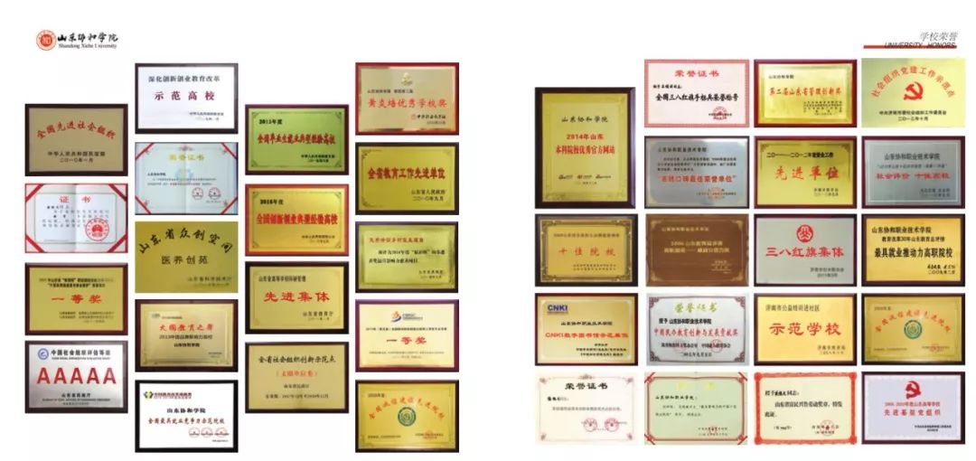 「教育看山东」山东协和学院