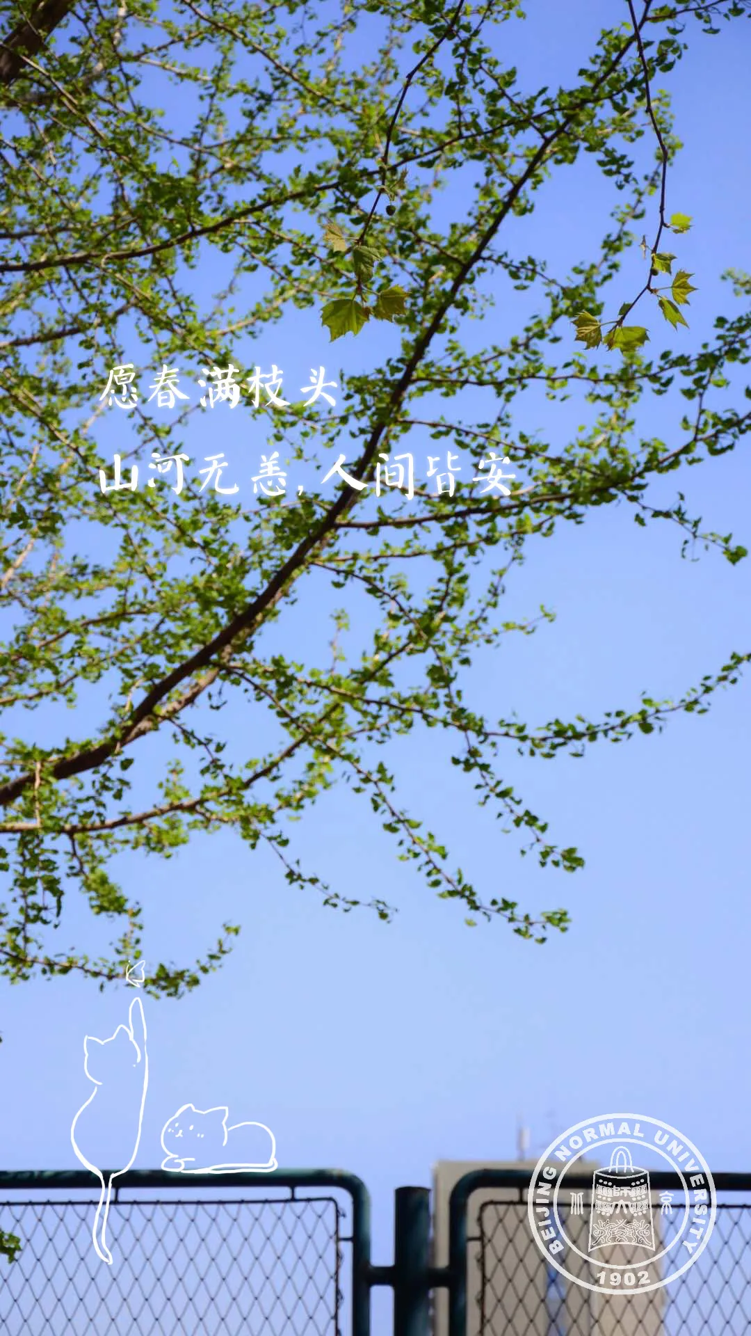 中国这10所大学壁纸第二期！厦门大学、中山大学等在列