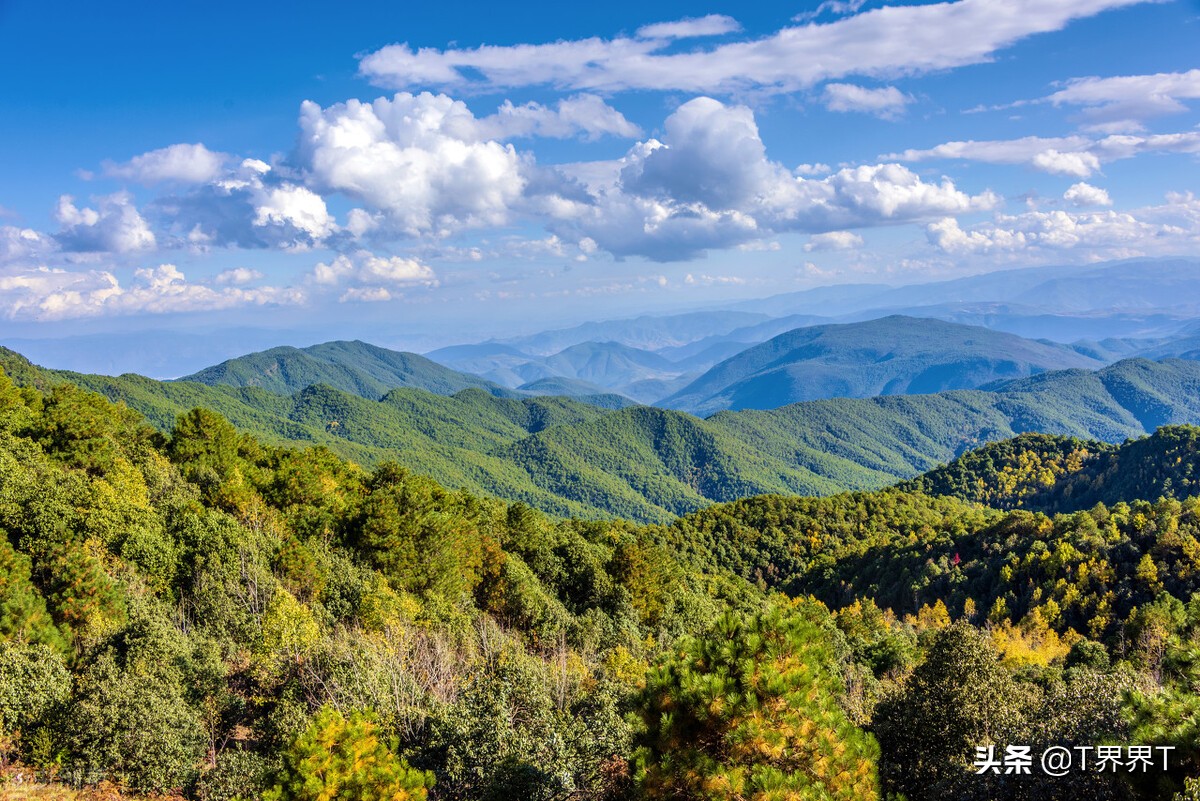 涉及两万四千余人，云南二本批补录封官，专科批录取已开始