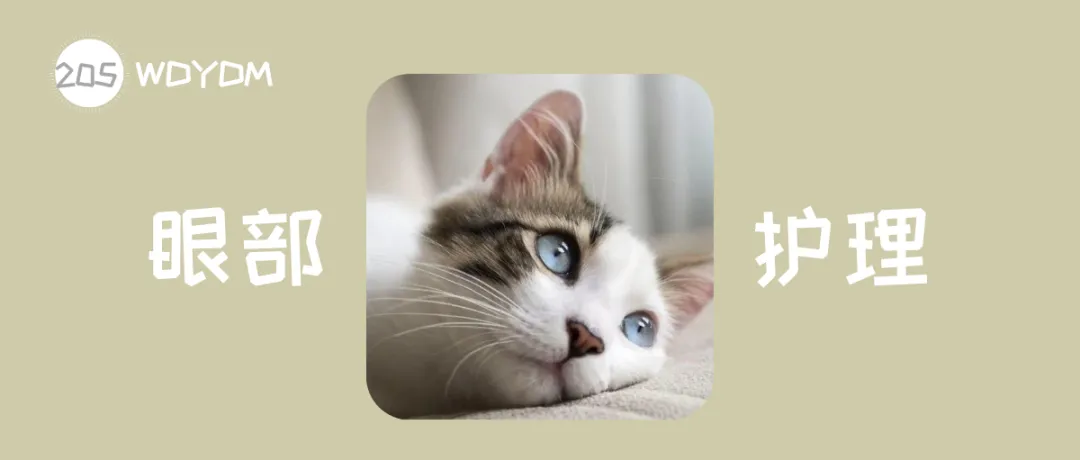 猫咪频繁流泪的原因有哪些？