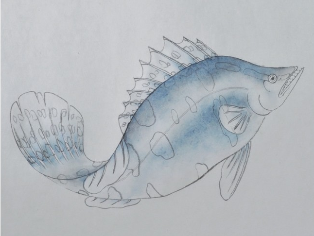 分步骤讲解工笔鳜鱼的基本画法及染色