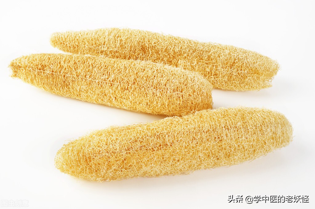 絲瓜絡是什么,絲瓜絡是什么東西