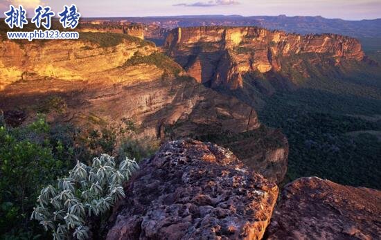 世界上最大的高原是哪里？