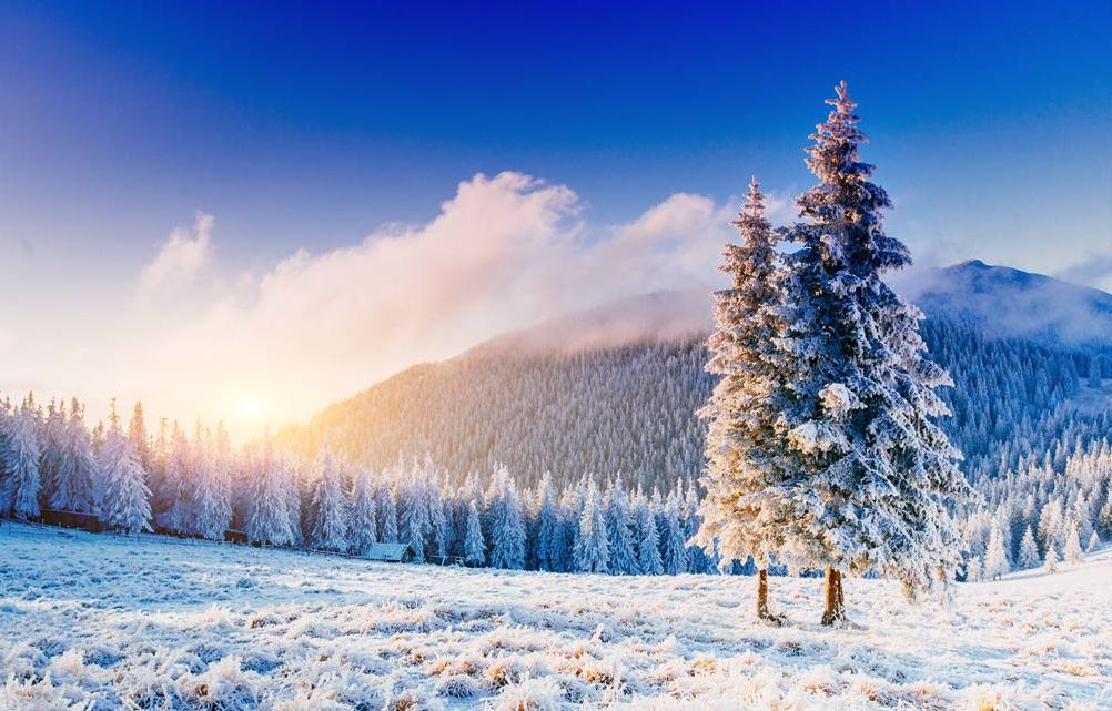 「诗词鉴赏」欲知松高洁 待到雪化时―那些关于松与雪的诗词！