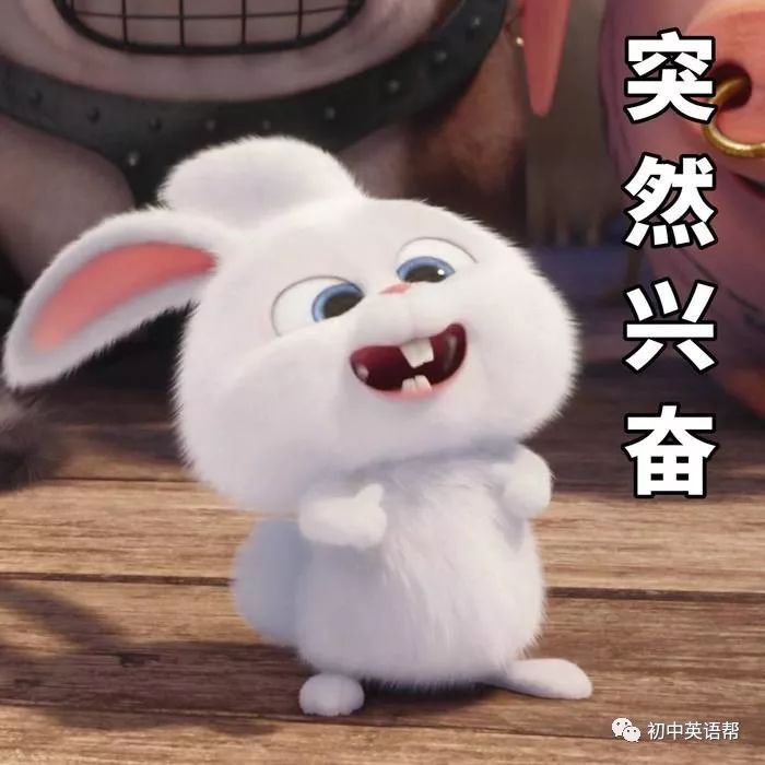 【音频】你知道这些水果的英文表达吗？