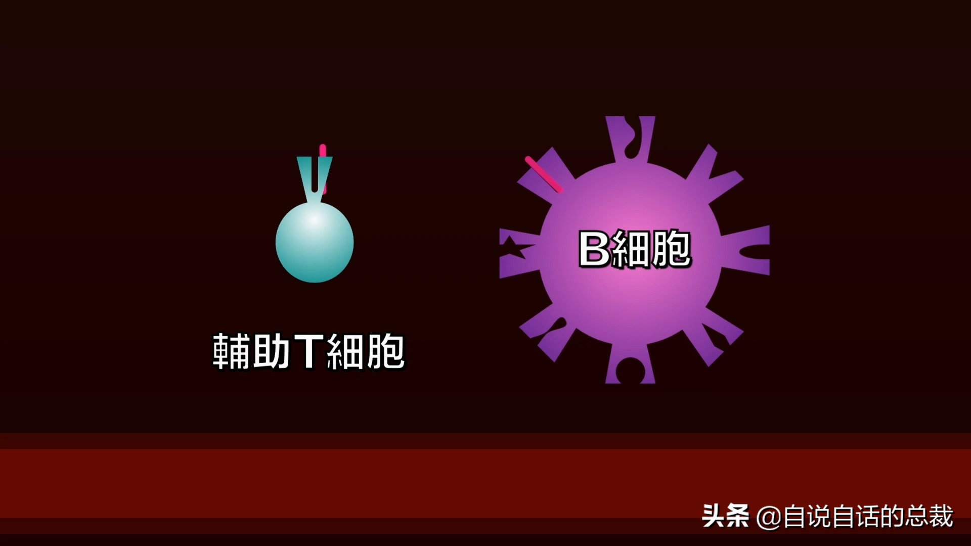埃博拉：人类的诅咒，你的身体如何对抗它，它到底有多恐怖