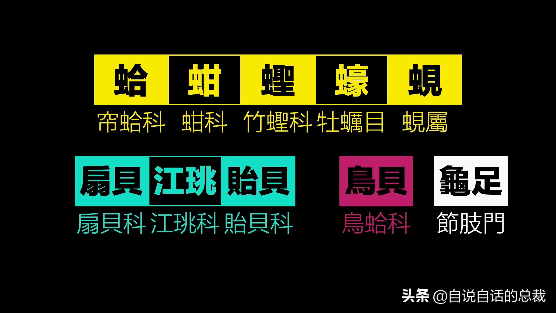 蛤、蚶、蛏、蚝、蚬有什么区别？这是一群美味海怪与人类的故事