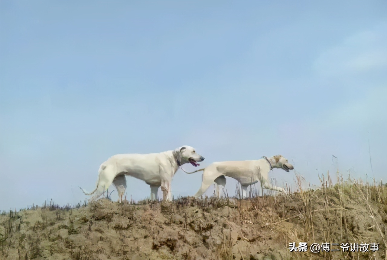 满族人的禁忌（知识科普关于满族人禁忌大全）