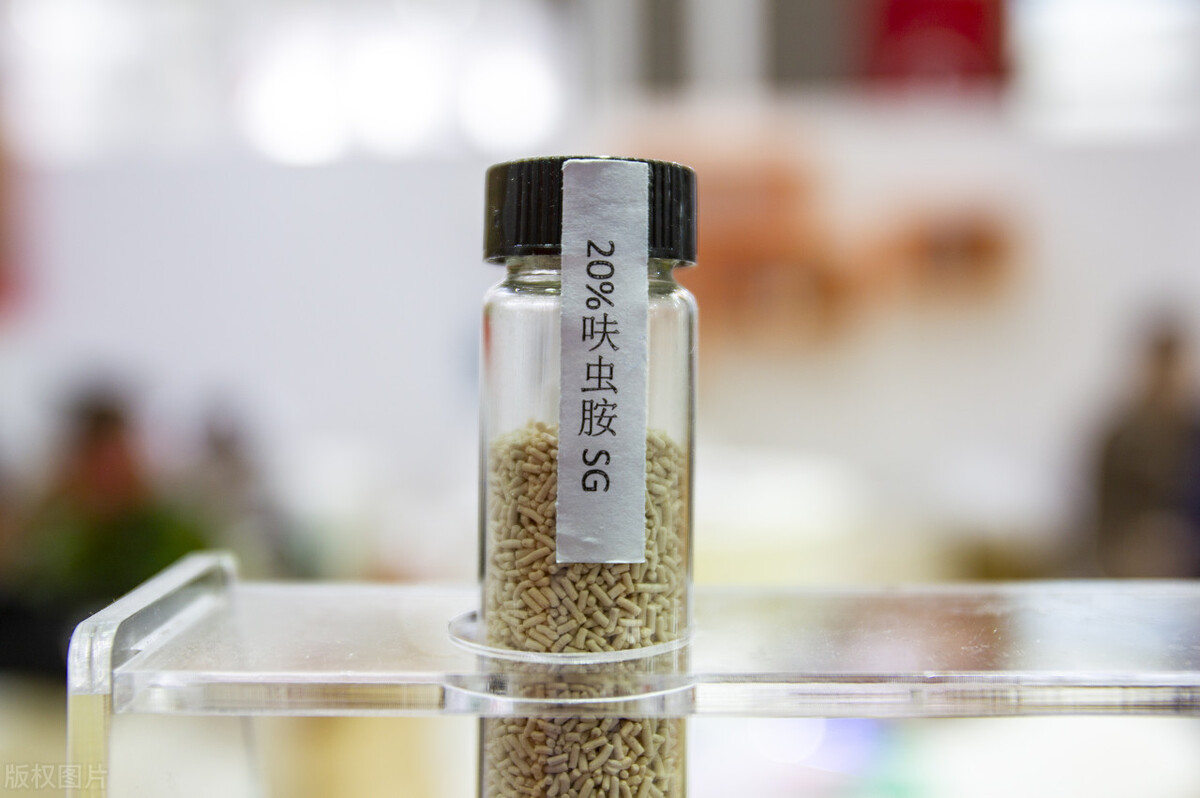 春天花盆里“小黑飞”肆虐，花匠小美推荐6种可行的简易灭虫方法