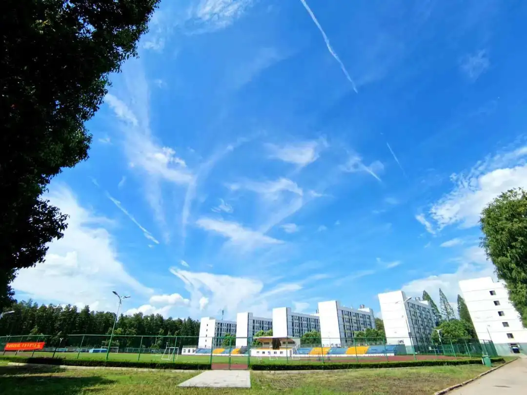 2020级新生注意！湖北大学知行学院新生报到指南发布