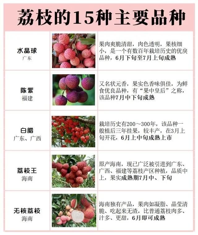 荔枝有多少品种（盘点15种常见荔枝介绍）