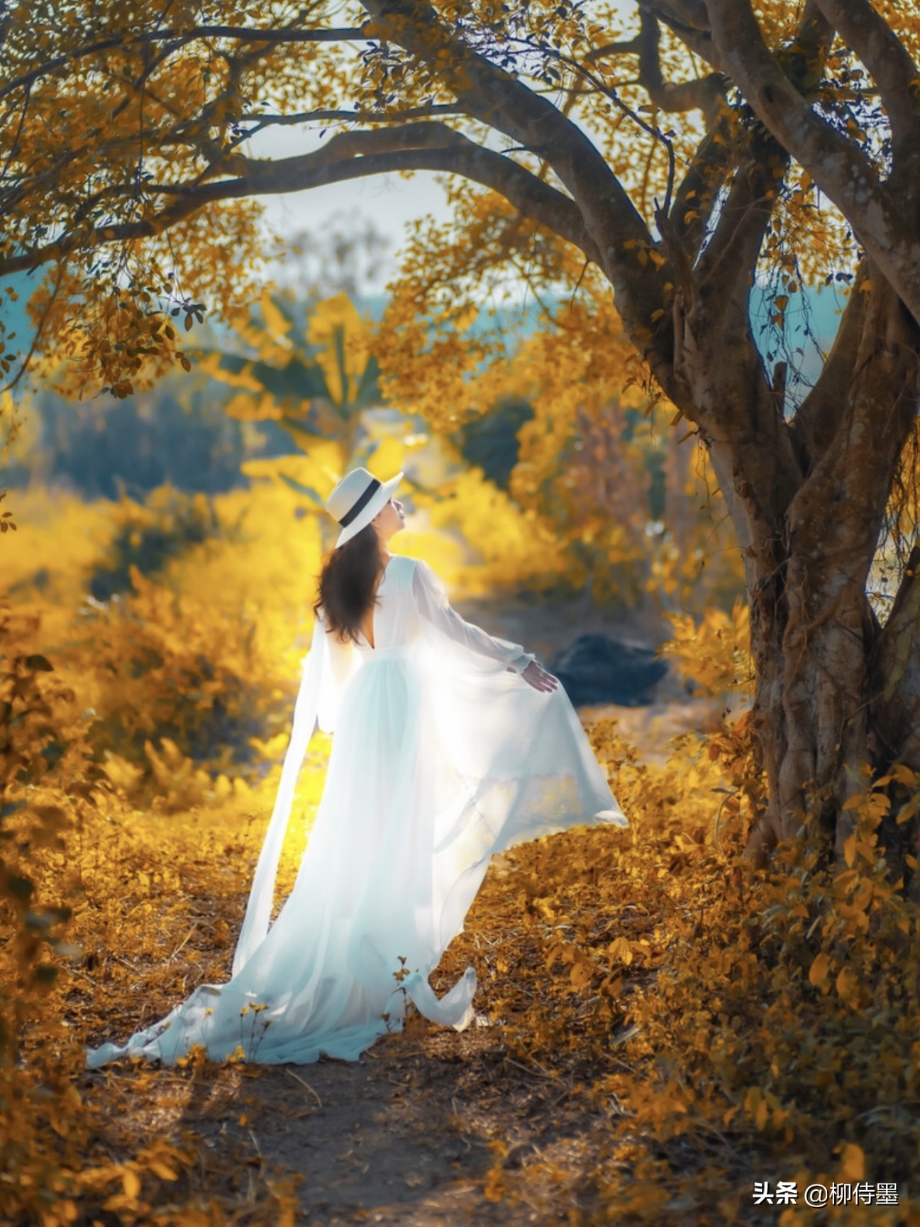 人物风景图片(风景人像问题集锦) - 赤虎壹号