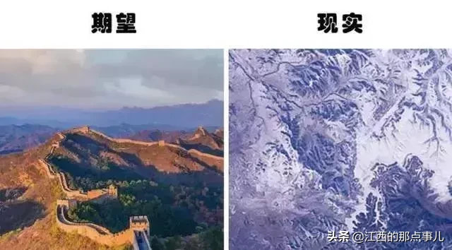 骆驼驼峰是储存什么（冷知识：骆驼把水储存在驼峰里？）