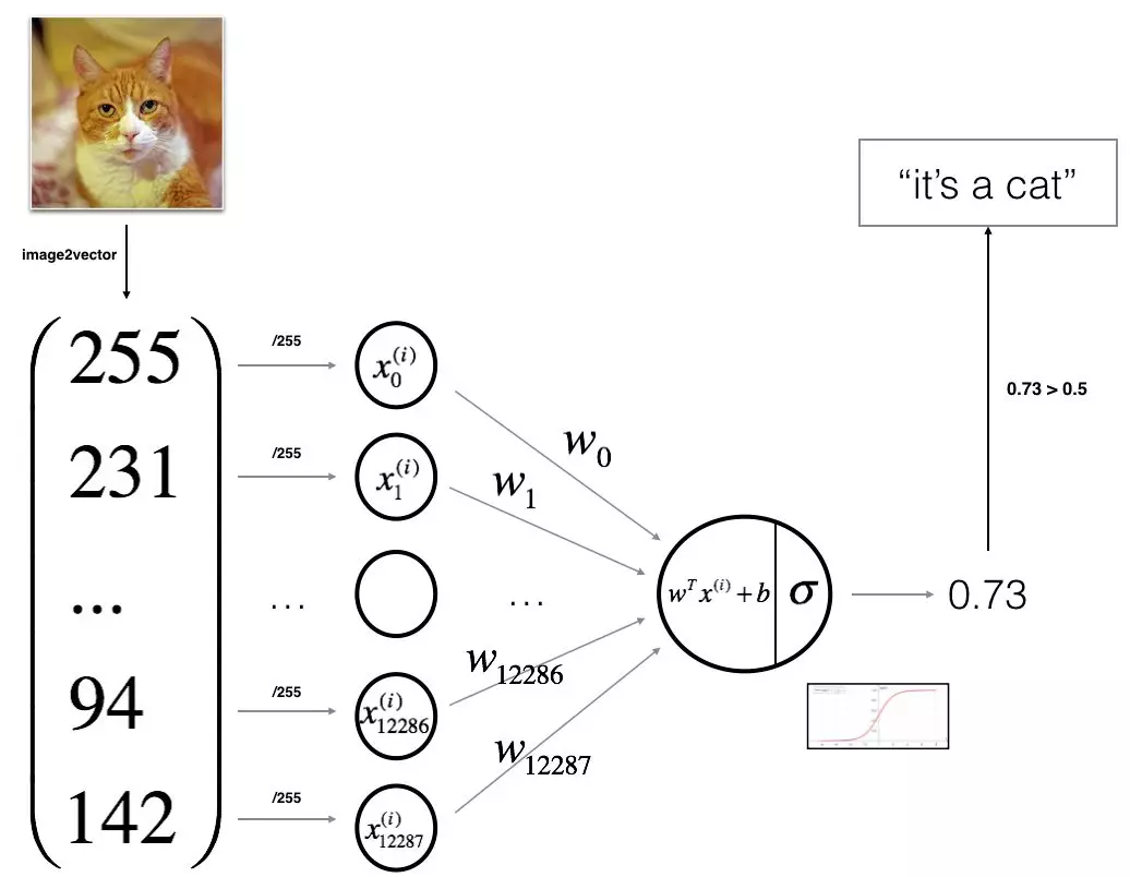 Logistic Regression：最基础的神经网络