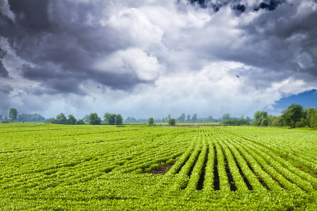 7月起，官方给农民发“2笔钱”，直发一卡通，3类农民领不到