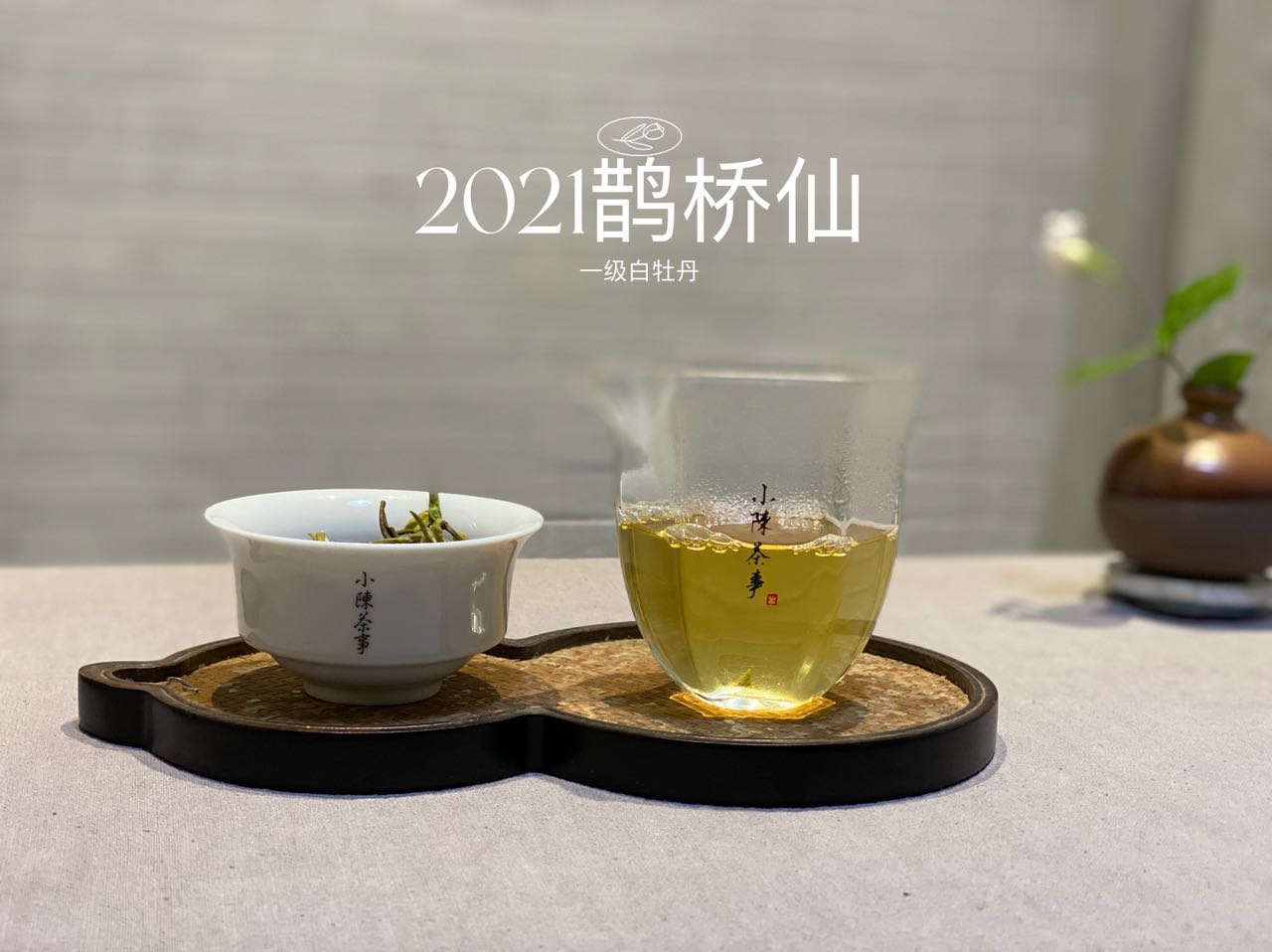 新手第一次买白茶，选什么比较好？白毫银针、白牡丹还是寿眉？