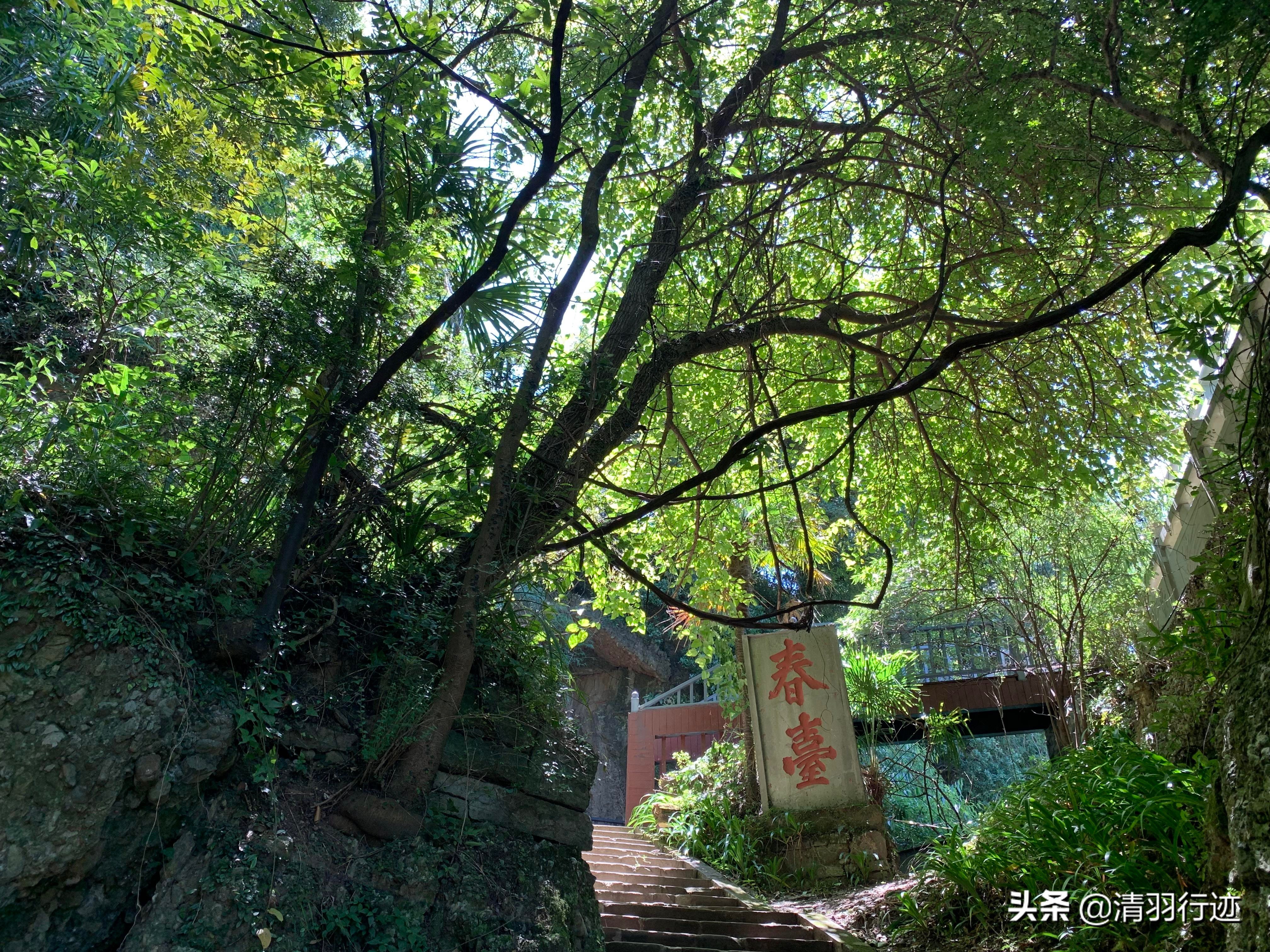 四川隐藏一处4A景区，山势如柱离成都170公里，是登山好去处