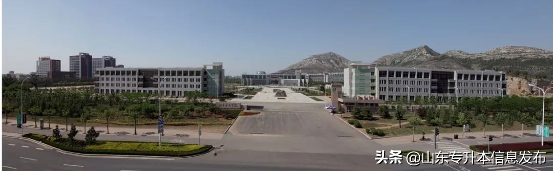 山东专升本各专业对应招考院校分析---计算机科学与技术