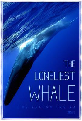最孤独的鲸：寻找52在线观看