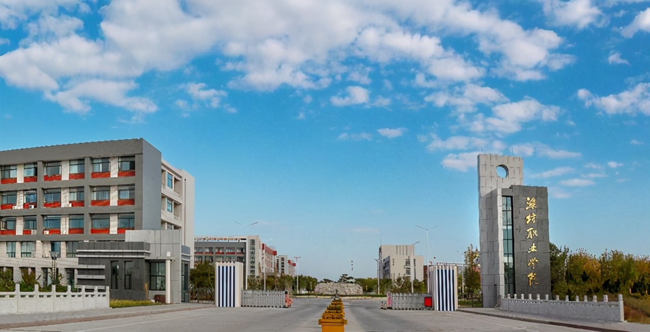 最新2022年山东省高职院校排名出炉：山东商职院领跑