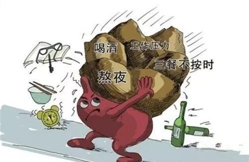 健康观念：治与调的区别