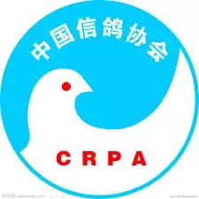 中国富豪花952万，在欧洲买了只鸽子…
