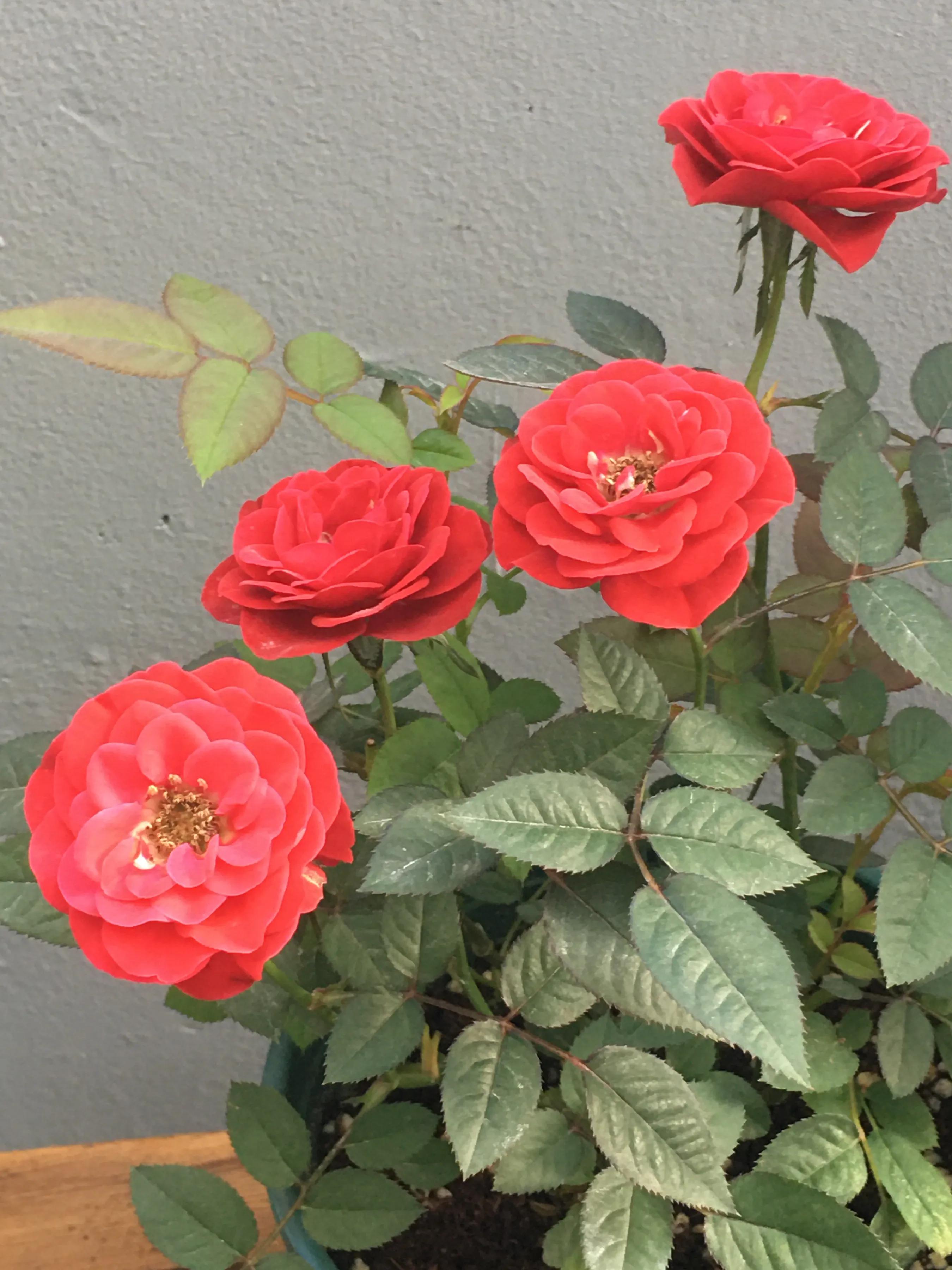 创业，你真的准备好了吗？