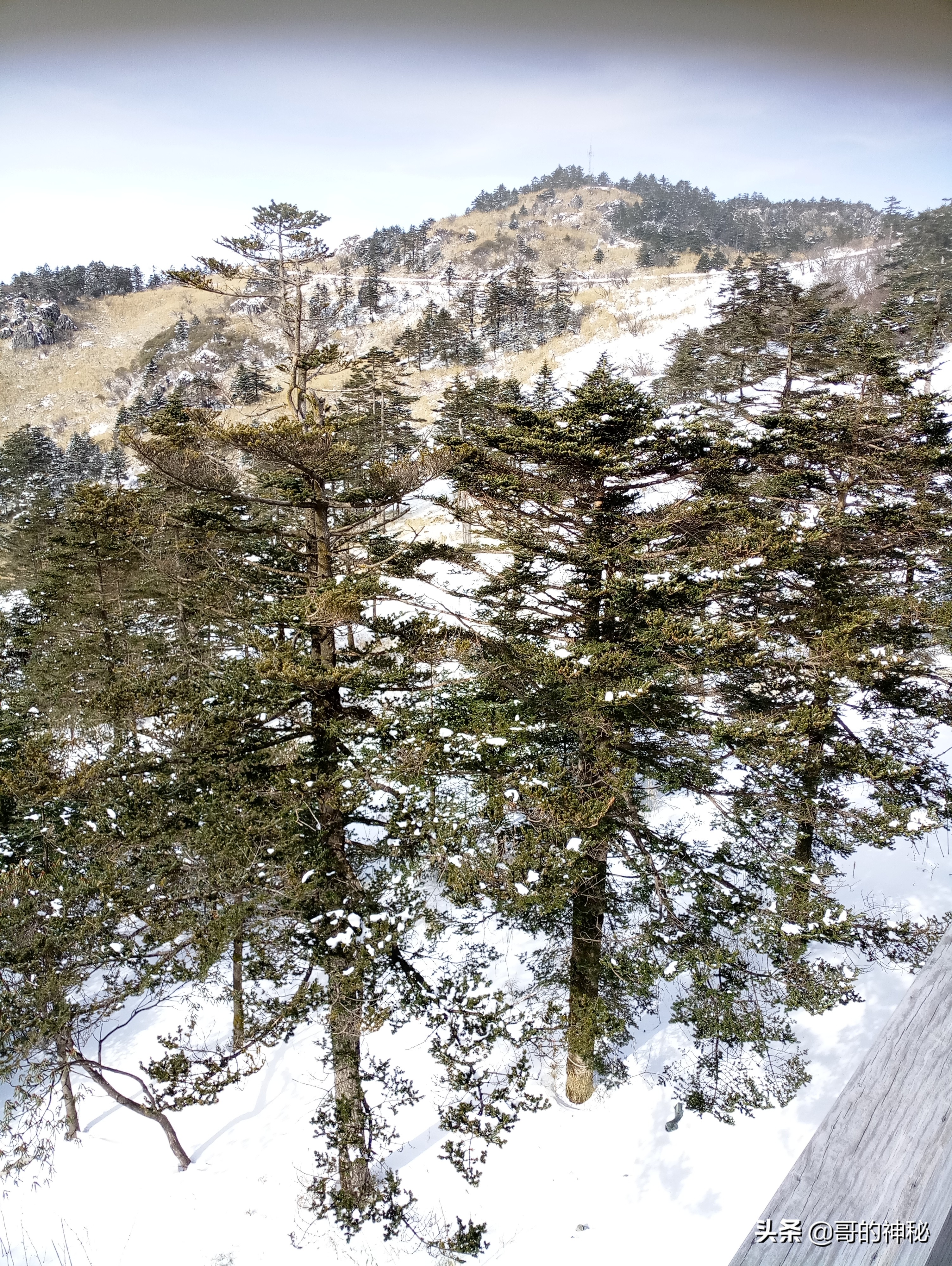 自驾游玩神农架风景区旅途分享