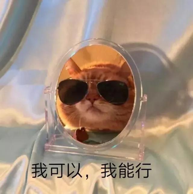 适合小仙女发自拍时配的句子