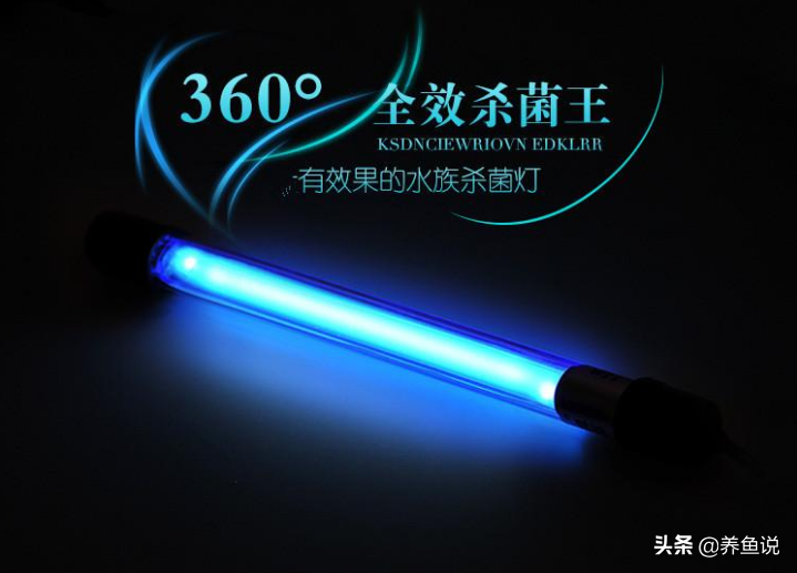 魚缸綠水克星，UV燈紫外線殺菌燈的使用方法，每天開燈多久？