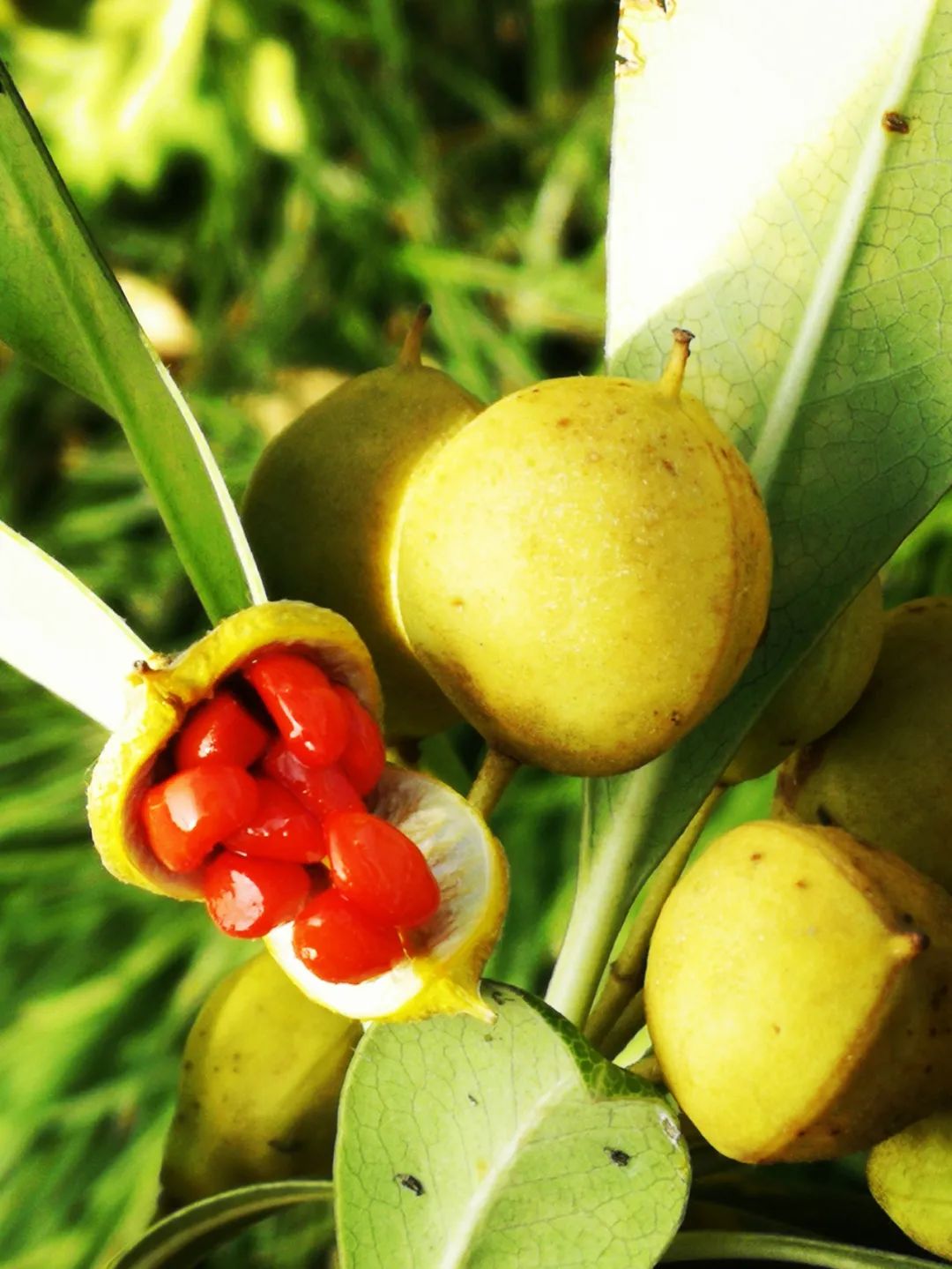 怀德学院“心怀正气 尚德倡廉”文化作品展