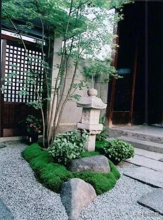 日式庭院该配什么植物?怎么配?看这里