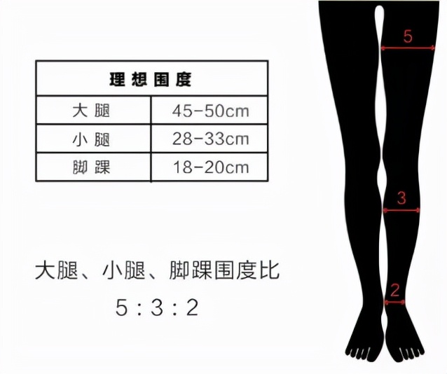 三圍是哪三圍 三圍女生標準對照表 - 汽車時代網