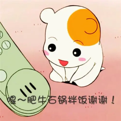 听说在这里可以吃到全国各地美食,展开说说