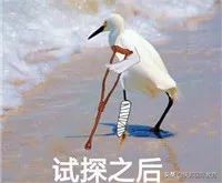 SAT&ACT全面解读，哪个考试更适合你？