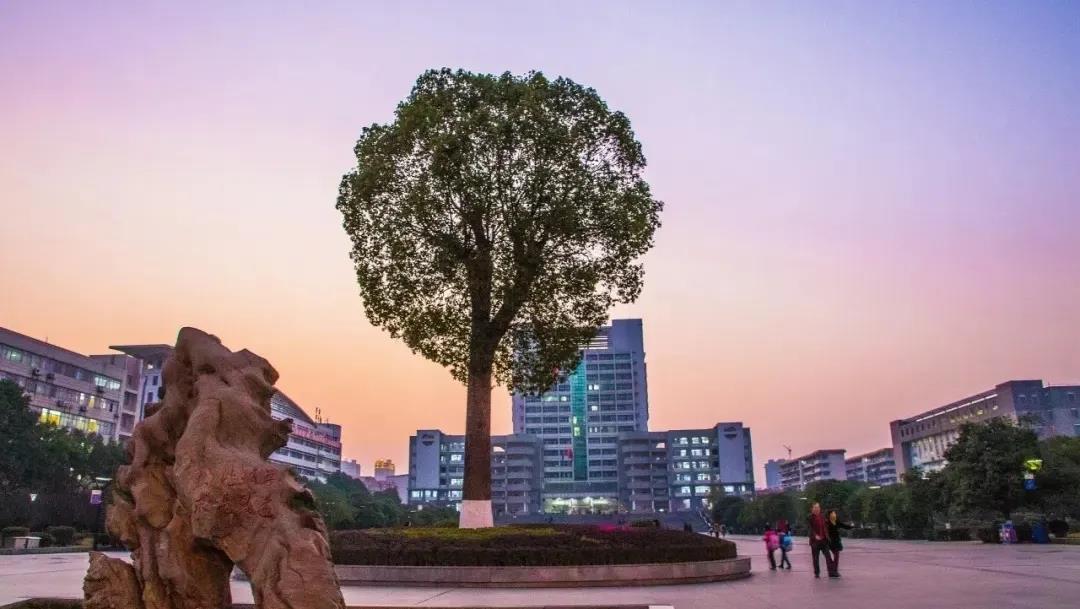 走出蛟龙号设计师、世界五百强总裁，创下多个第一，南华大学超火