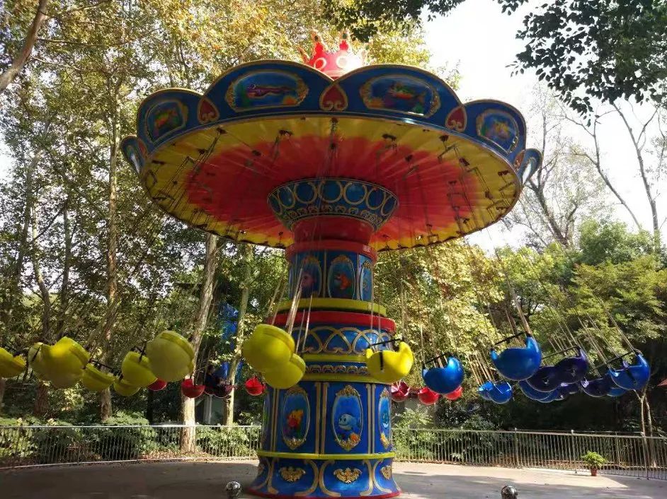 11月上海公园活动大全来了，天天玩，不重样