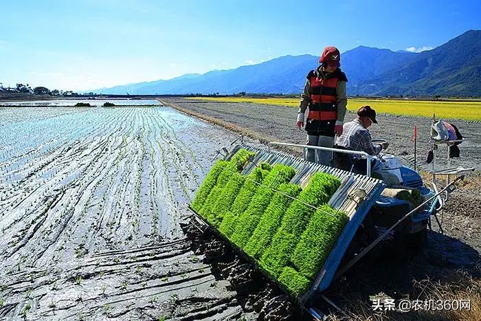 插秧機：70多個品牌，300個型號，5招教你消除選擇困難癥！