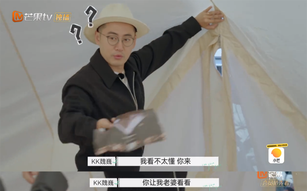 离婚真人秀《再见爱人》一夜爆火：明星离婚的真相，藏不住了