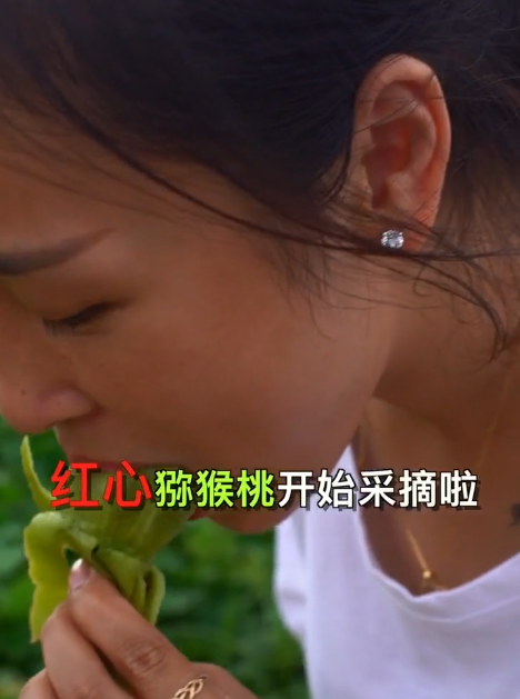 獼猴桃產(chǎn)地,