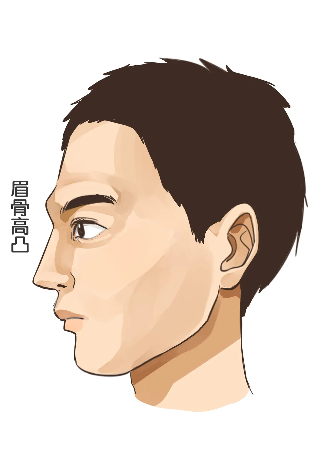 眉骨高额头凹陷面相好吗 额头凹陷眉骨突出的女人面相解析_达一风水网