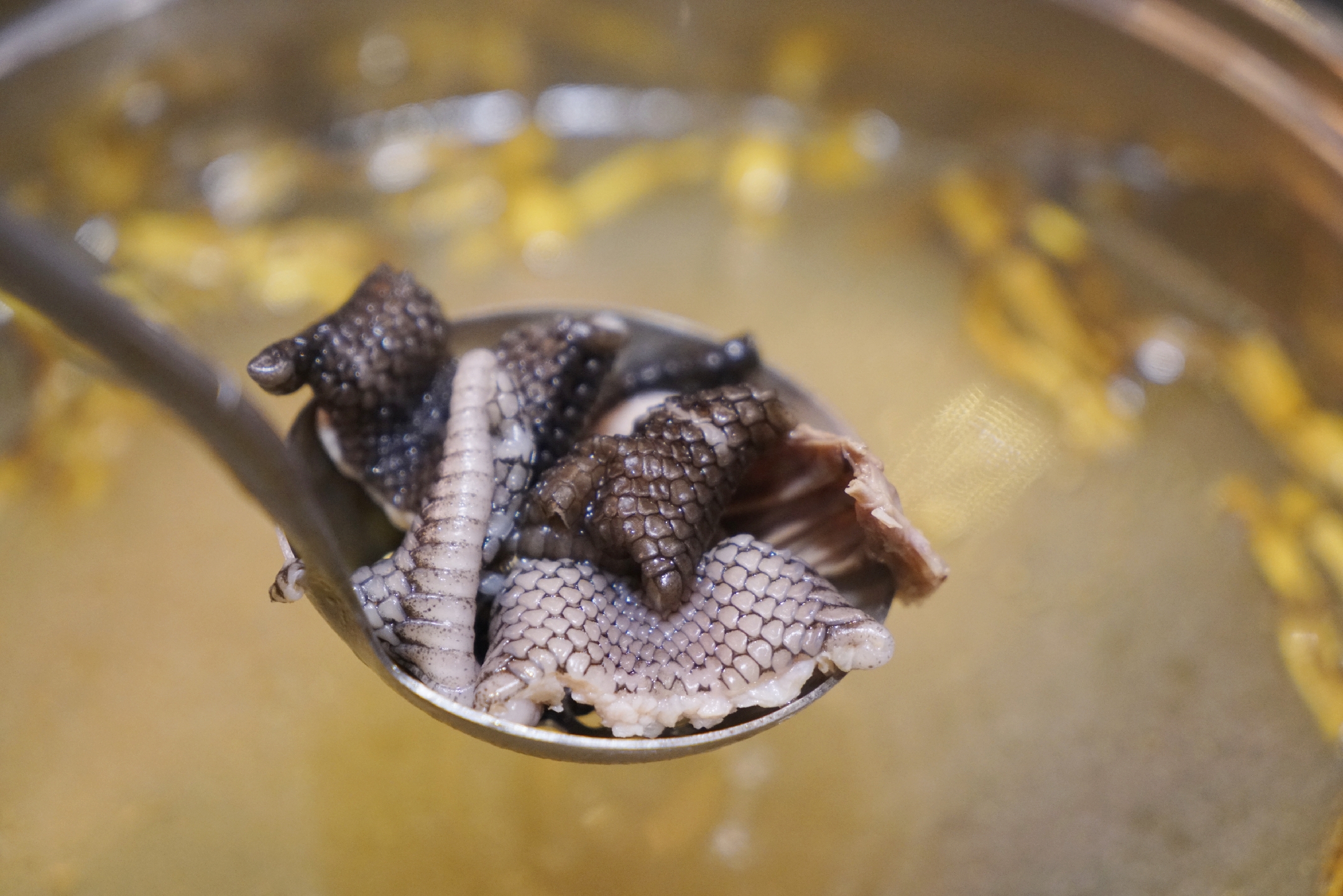 锅底有多种可以搭配,我们选用的是眼镜蛇 鸽子做汤底,清热祛湿,汤清味