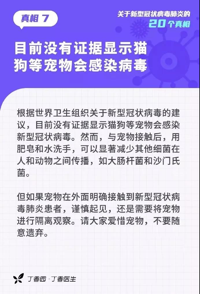 【寵物宅設計情報分享】寵物宅家指南發生疫情家有寵物不可怕，無知才要命