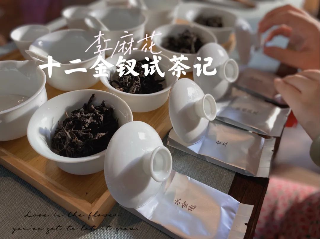 奇兰、 九龙袍、春兰、北斗，2021武夷岩茶十二金钗天团，正式出场