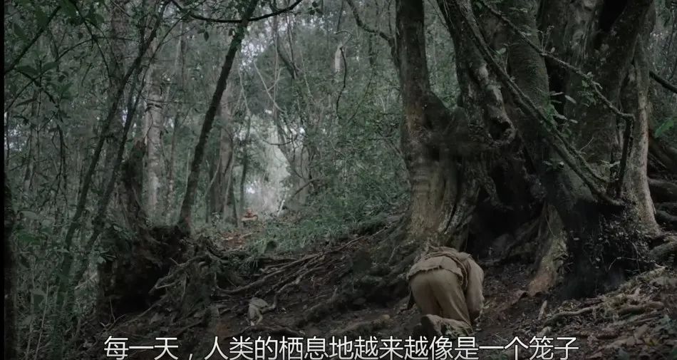《盖亚》:论三个人怎么在森林里演克苏鲁？